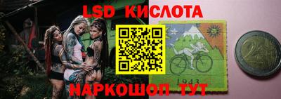 индика Обнинск