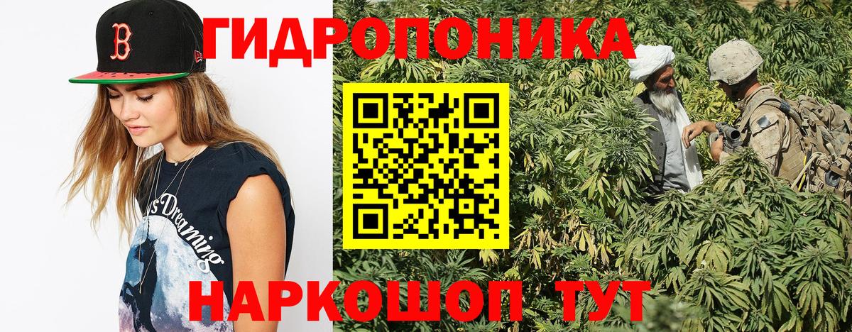 Элиста  Шишки марихуана VHQ  Бошки марихуана OG Kush  Вход с VPN 